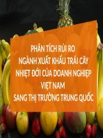 PHÂN TÍCH RỦI RO NGÀNH XUẤT KHẨU TRÁI CÂY NHIỆT ĐỚI CỦA DOANH NGHIỆP VIỆT NAM SANG THỊ TRƯỜNG TRUNG QUỐC