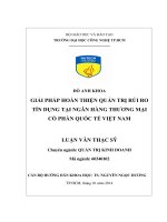 Giải pháp hoàn thiện quản trị rủi ro tín dụng tại ngân hàng Thương mại Cổ phần Quốc tế Việt Nam