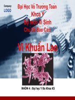 Bộ môn vi sinh chủ đề báo cáo vi khuẩn lao