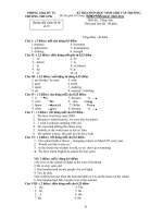 Đề thi học giỏi môn Tiếng Anh lớp 9 (7)