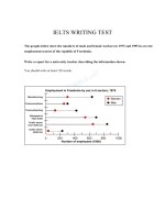 Đề thi viết IELTS 20