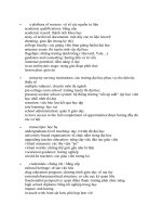 ý tưởng cho bài viết task 2