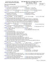 TTGDTX QUẢNG ĐIỀN ĐỀ THI HỌC KÌ 1 MÔN SINH HỌC LỚP 11