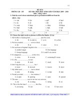 Đề thi học sinh giỏi môn Tiếng Anh (8)