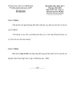 ĐỀ KIỂM TRA HKI- NGỮ VĂN 12 (10)