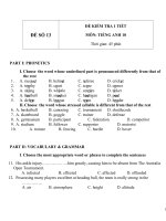 Đề kiểm tra 1 tiết môn tiếng Anh lớp 10 - Đề số (13)