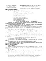 Đề thi thử đại học môn Ngữ văn chọn lọc số 29