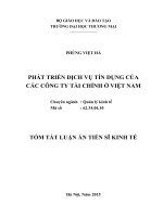 PHÁT TRIỂN DỊCH vụ tín DỤNG của các CÔNG TY tài CHÍNH ở VIỆT NAM