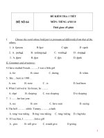 Đề kiểm tra 1 tiết môn tiếng Anh lớp 10 - Đề số (64)