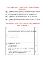 Đề thi học kì 1 lớp 10 môn Sử năm 2014 THPT Minh Thuận (Đề 1)