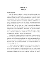 Các yếu tố ảnh hưởng đến sự hài lòng của người lao động tại công ty cổ phần nhựa Đồng Nai