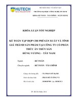 Kế toán tập hợp chi phí sản xuất và tính giái thành sản phẩm tại công ty cổ phần thức ăn thủy sản Hùng Vương-Tây Nam