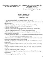 Đề kiểm tra HKI Vật lý 10 cơ bản có đáp án