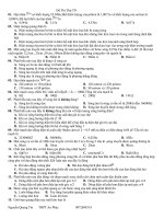 Đề thi thử tốt nghiệp 2009 (Nguyễn Quang Tín, THPT An Phúc) môn vật lý