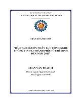 Đào tạo nguồn nhân lực công nghệ thông tin tại thành phố Hồ Chí Minh đến năm 2020