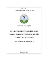 Xây dựng phương pháp định lượng felodipin trong huyết tương bằng GC MS