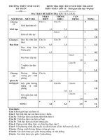 Đề kiểm tra học kỳ môn Toán lớp 11 (2)