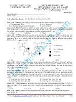 Đề sinh học 12 - sưu tầm giới thiệu đề kiểm tra, thi học sinh giỏi, thi thử đại học tham khảo (55)