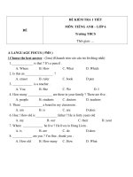Đề kiểm tra 1 tiết môn Toán lớp 6 - Đề (156)