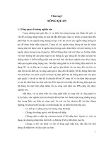 Hệ thống năng lượng mặt trời hòa lưới