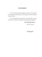 Sử dụng thuật toán PGPSO giải bài toán điều độ công suất phản kháng