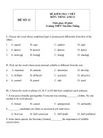 Đề KT 1 tiết môn tiếng Anh lớp 12 - Đề số 11