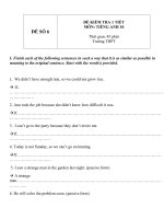 Đề kiểm tra 1 tiết môn tiếng Anh lớp 10 - Đề số (6)
