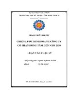 Chiến lược kinh doanh công ty cổ phần Đồng Tâm đến năm 2020