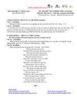 Đề thi thử đại học môn Ngữ Văn (11)