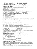 Đề kiểm tra 1 tiết Vật lí lớp 10 học kì 1