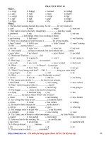 Đề thi thử môn Tiếng Anh (8)