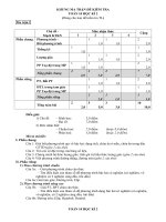 Đề kiểm tra học kì 2 môn Toán lớp 10 (21)