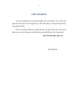 Điều khiển động cơ KĐB 3 pha theo phương pháp DTC dùng bộ điều khiển PI mờ lai