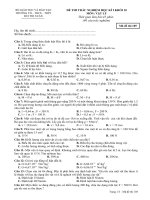 Đề thi học kì 1 Môn Vật lý 10