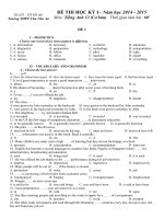 TRƯỜNG THPT CHU VĂN AN KỲ THI HỌC KỲ I NĂM HỌC 2014 – 2015 MÔN TIẾNG ANH 12 CƠ BẢN