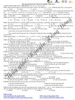 Đề thi thử tốt nghiệp đại học môn Vật Lý (11)