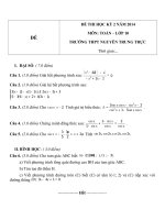 Đề thi học kì 2 môn toán lớp 10 năm 2014 (chương trình cơ bản)