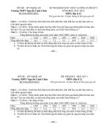 Trường THPT Nguyễn Cảnh Chân ĐỀ KHẢO SÁT CHẤT LƯỢNG CUỐI KÌ 1 MÔN ĐỊA LÝ 12