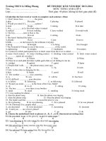 Trường THCS Lê Hồng Phong  ĐỀ THI HỌC KỲ II – NĂM HỌC 2013 – 2014 LỚP 8 MÔN TIẾNG ANH