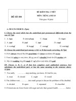 Đề kiểm tra 1 tiết môn tiếng Anh lớp 10 - Đề số (103)