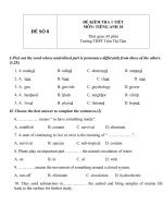 Đề kiểm tra 1 tiết môn tiếng Anh lớp 10 - Đề số (8)