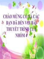 BÀI THUYẾT TRÌNH MÔN TÂM LÝ HỌC NHÂN CÁCH CHỦ ĐỀ KHÍ CHẤT BÌNH THẢN