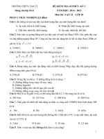 ĐỀ THI HỌC KÌ 2 LỚP 10