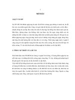 Ngập lụt quận 9, TP. HCM – Nguyên nhân, hậu quả và những giải pháp cấp bách để giảm thiểu nạn ngập lụt trước mắt và trong tương lai