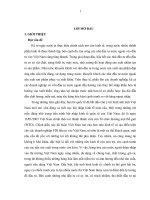 Một số giải pháp xây dựng rào cản đối với hàng nhập khẩu qua thực tiễn thành phố Hồ Chí Minh giai đoạn 2014-2020