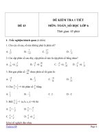 Đề kiểm tra 1 tiết môn Toán lớp 6 - Đề (43)