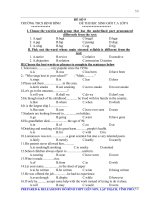 Đề thi học sinh giỏi môn Tiếng Anh (9)
