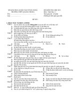 thpt quang trung  thi hk1 sinh 11