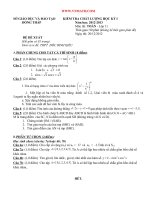 Đề thi toán 11 - sưu tầm đề kiểm tra, thi học kỳ, thi học sinh giỏi tham khảo bồi dưỡng (300)