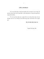 Ảnh hưởng của mô hình nhà lãnh đạo lý tưởng đến sự thỏa mãn của nhân viên ngành truyền thông tại Tp.HCM